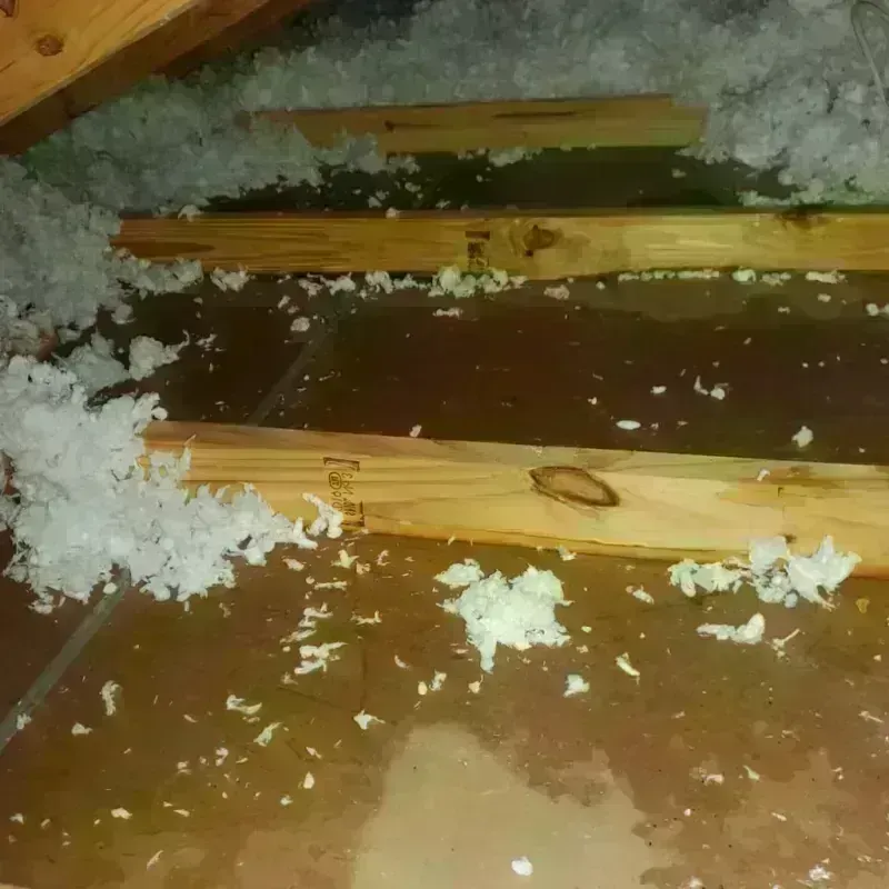 Attic Water Damage in Spry, PA